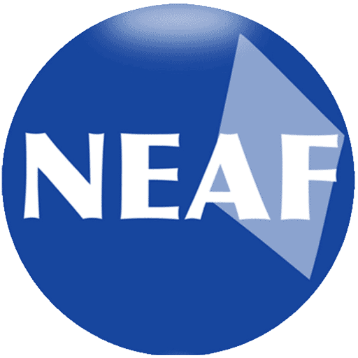NEAF Concursos